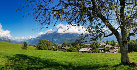 Panorama of alpine pastures and an old tree above the town of Combloux, Haute-Savoie, France. In the background the cloud covered peak of the Tête de l'Âne (Donkey’s Head).
