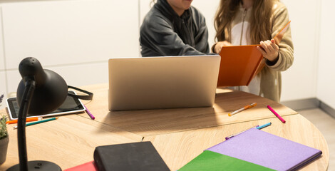 Two sisters making a video call in the living room of their home