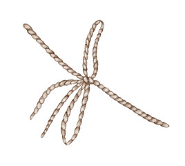 hand drawn rope with knot. Fibre bow Isolated on white background. Watercolor illustration