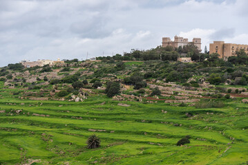 Local traditional farming with green terraces and a fortress in the background - obrazy, fototapety, plakaty