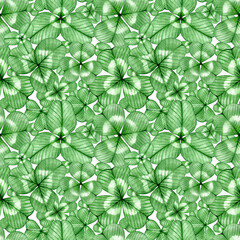 Watercolor seamless pattern of clover leaves. Symbol of good luck St. Patrick's day. Green herbal plant. Hand drawn illustration on white background.