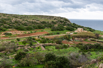 Green rocky mountains and traditional small agriculture fields and gardens at the coast of Selmun, Malta