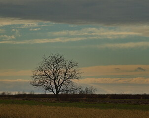 Beautiful sky above the farmland in late autumn.