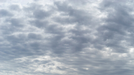 Fototapeta premium overcast gray cloudy sky
