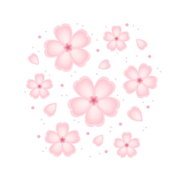 Sakura flower pattern. wallpaper. background. free space for text. copy space. blank.