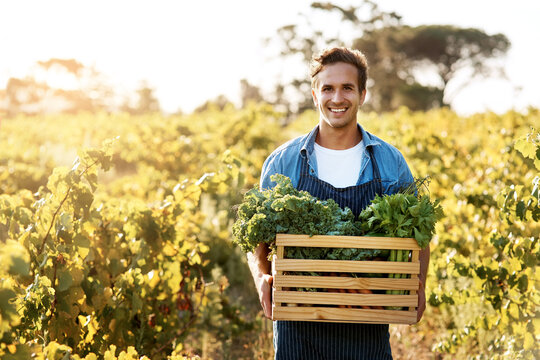 Producing Food That Is Safe, Abundant And Affordable For Consumers