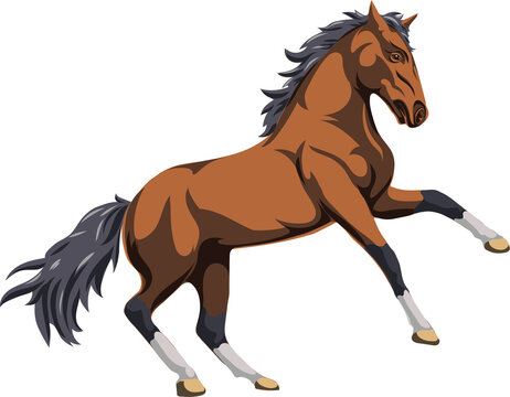 Horse, image of a galloping horse, portrait of a horse for a logo in brown tones