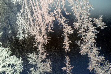 It is a pattern of frost on the glass of a window. White textured frosty crystal snowflake.