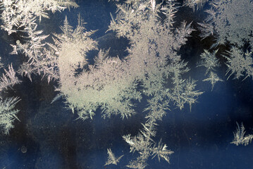  Natural frost floral pattern with abstract lines, stems, and snowflakes.