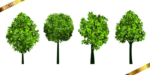 Collection of Green Tree Isolated on White Background. Vector outline Illustration. 