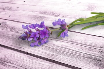 Fresh aroma Lavender flowers on the desk