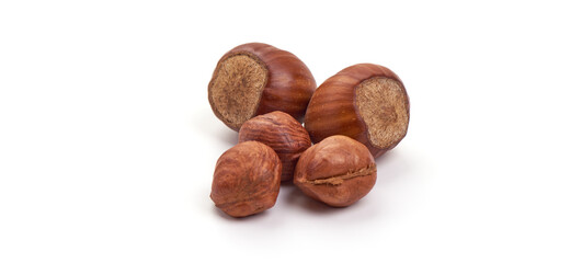 Fresh organic hazelnut, isolated on white background.