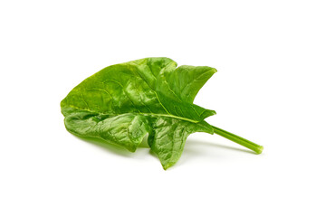 Spinach leaves, isolated on white background.