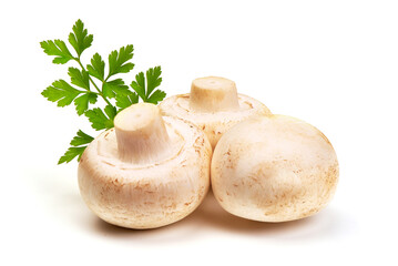 Champignons, close-up, isolated on white background.