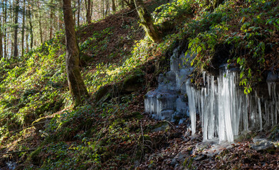 Ice sticks hanging the rock