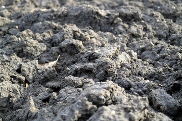 Treated soil. Land for planting agricultural plants. Background. Focus in the middle third.