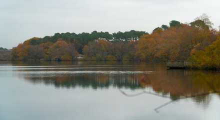 Nature reflected in water. Etang Noir (Seignosse), Nouvelle Aquitaine - France.