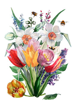 Bouquet of daffodils, tulips with buds, hyacinths, lilac branches with green leaves. Spring flowers on a white background. Hand drawn watercolor painting for cards, wedding invitations, congratulation