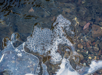 Close-up of ice on a cold November morning starting to form on the surface of the water in a creek with air bubbles frozen in the ice.