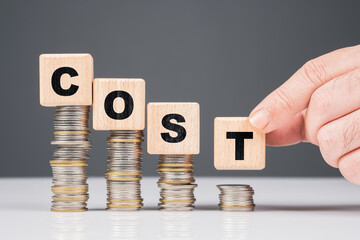 Reduce Cost