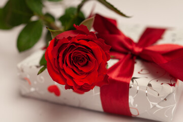 - rote Rose und Geschenk mit roter Schleife -