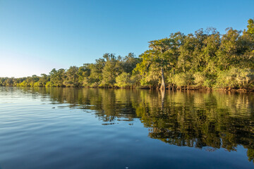 Suwanneee River, Gilchrist County, Florida