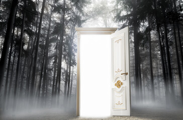 Unusual light in door of the middle of a fantasy night forest. 3d illustration.
