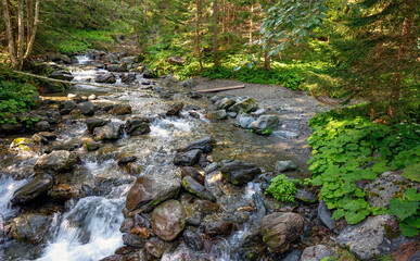wild stream in a forest in the Lesachvalley in Carinthia, Austria