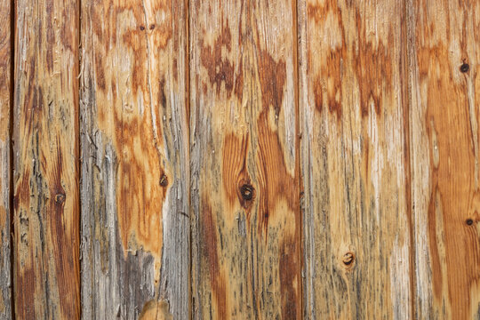 Detalle de textura de madera estropeada 