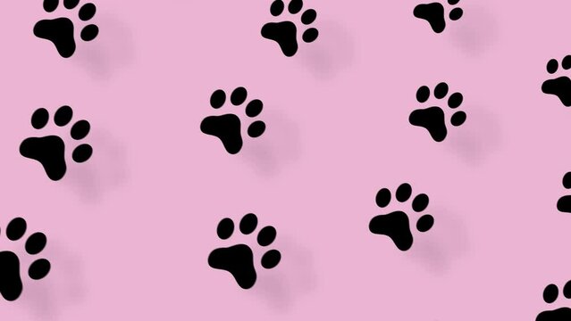 Colorful pattern of cat paws on pink background with shadows. Seamless pattern with cat paw. Top view. Dog, cat footprint background. 4K video motion