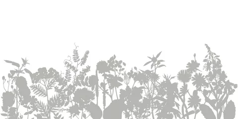 Rideaux  Abstract border with wild herbs and flowers.  © Marina Gorskaya