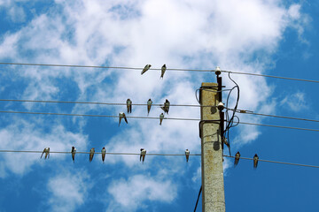 power lines on a sky