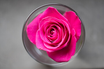 Obraz na płótnie Canvas - pinkfarbene Rose im Glas von oben