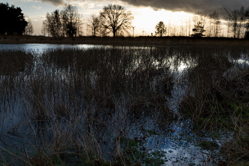 Pond or mere with a swamp like appearance at sunset on a rainy day and reflection in the water