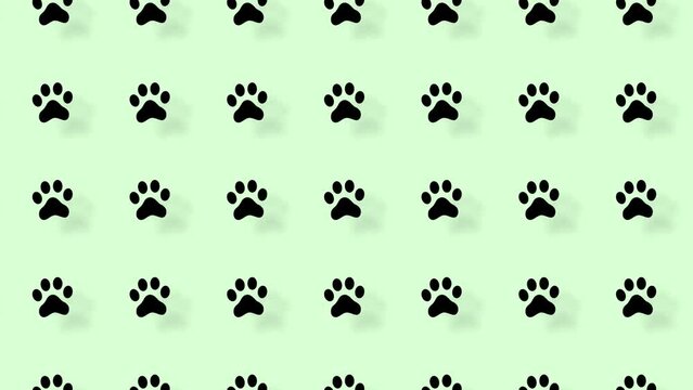 Colorful pattern of cat paws on green background with shadows. Seamless pattern with cat paw. Top view. Animal silhouette. 4K video motion