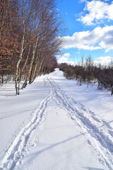 White road snow tracks landscape 