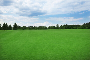 Beautiful view of park with green grass on sunny day
