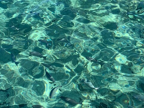 water background