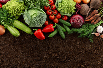 Fresh harvested organic vegetables on soil backgound