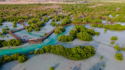 Jubail Mangrove Park in Abu Dhabi