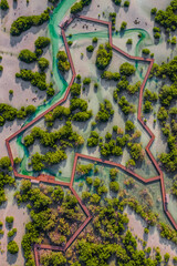 Jubail Mangrove Park in Abu Dhabi