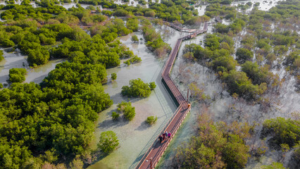 Jubail Mangrove Park in Abu Dhabi