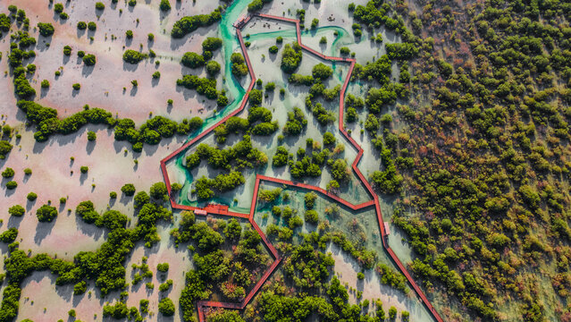 Jubail Mangrove Park in Abu Dhabi