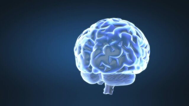 Abstract animation of loopable human brain
