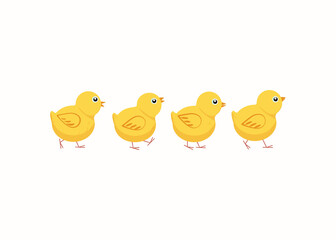 Set of cartoon chickens. Chicks, birds. Vector flat illustration. Background isolated.