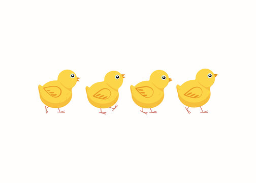 Set of cartoon chickens. Chicks, birds. Vector flat illustration. Background isolated.