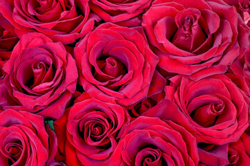 bouquet of burgundy roses close-up