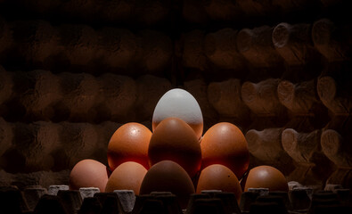 chicken egg pyramid packaging