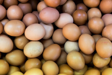 Close-up photo of organic eggs