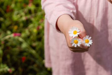 girl holding wildflowers in her hand